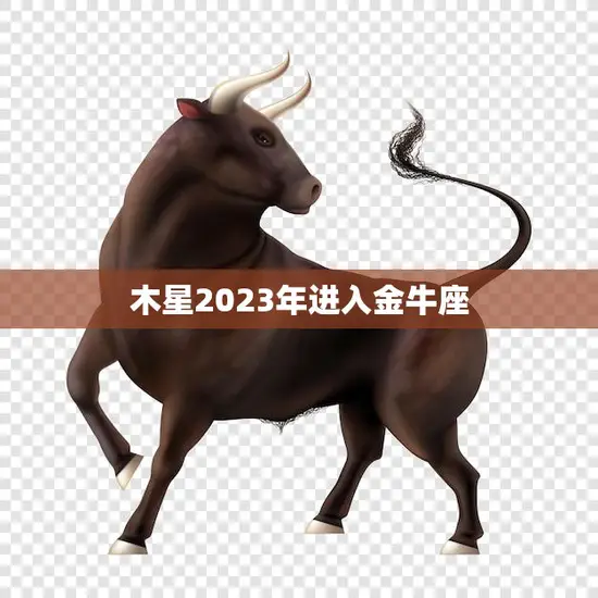 木星2023年进入金牛座(天象大变金牛座迎来新机遇)