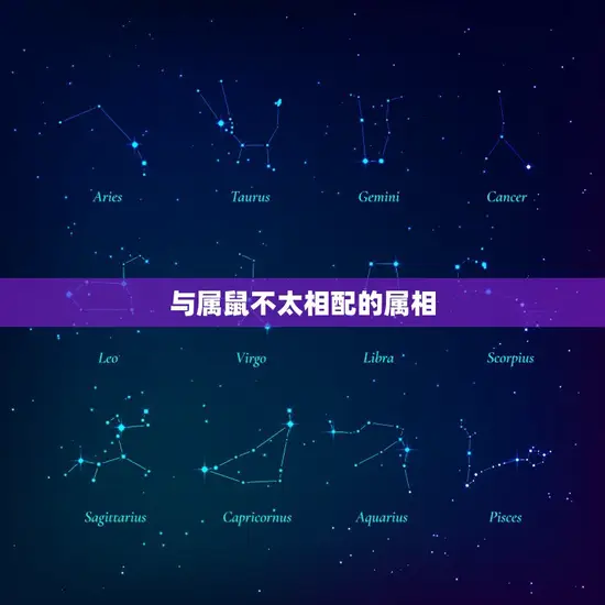 与属鼠不太相配的属相