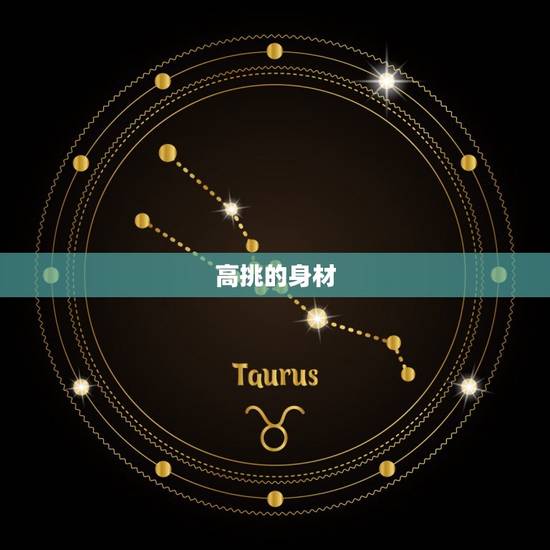 高挑的身材