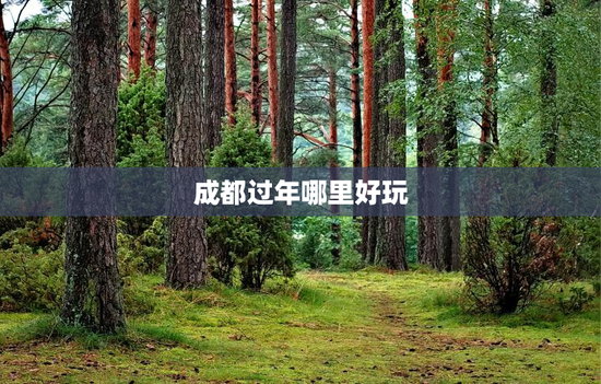 成都过年哪里好玩