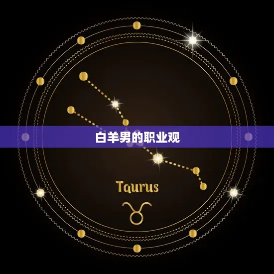 白羊男的职业观