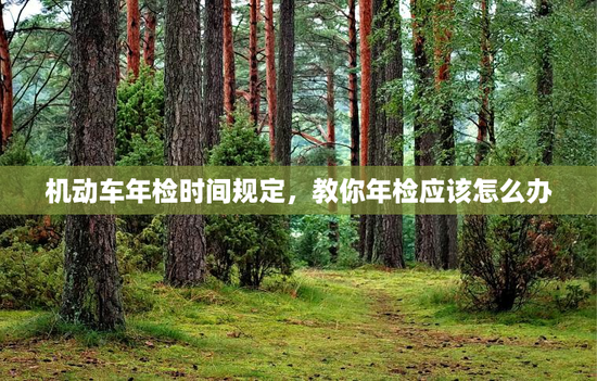 机动车年检时间规定，教你年检应该怎么办