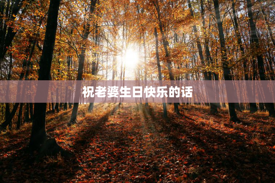 祝老婆生日快乐的话