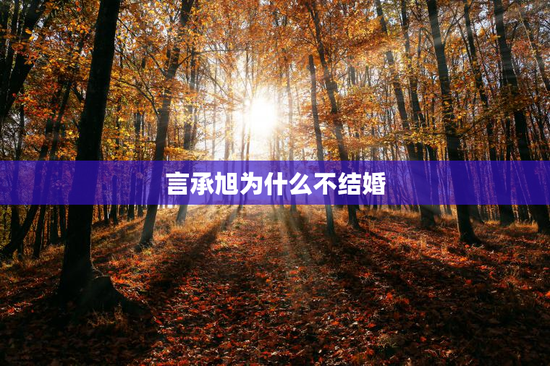 言承旭为什么不结婚
