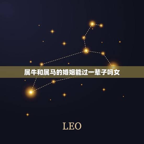 属牛和属马的婚姻能过一辈子吗女(介绍属相配对的)