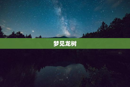梦见龙树