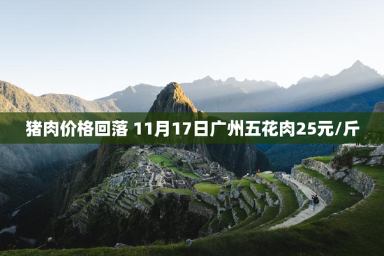 猪肉价格回落 11月17日广州五花肉25元/斤