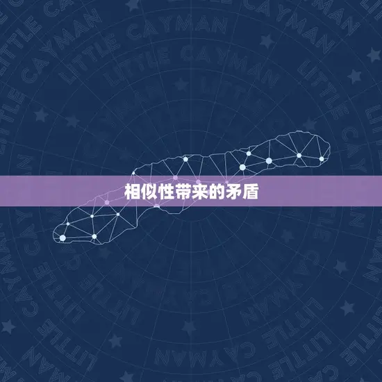 相似性带来的矛盾