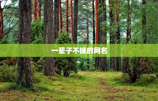 一辈子不换的网名