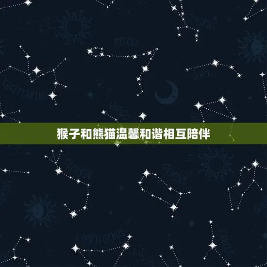 猴子和熊猫温馨和谐相互陪伴