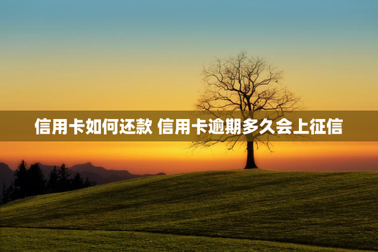 信用卡如何还款 信用卡逾期多久会上征信