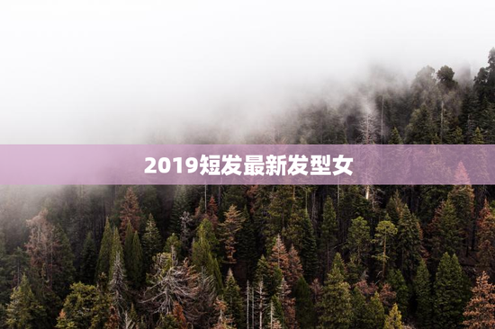 2019短发最新发型女