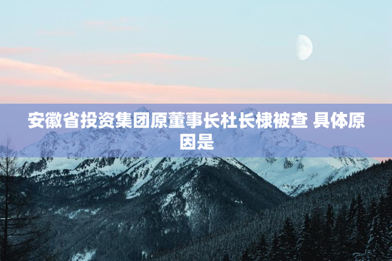 安徽省投资集团原董事长杜长棣被查 具体原因是