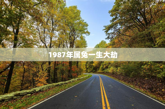 1987年属兔一生大劫