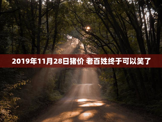 2019年11月28日猪价 老百姓终于可以笑了