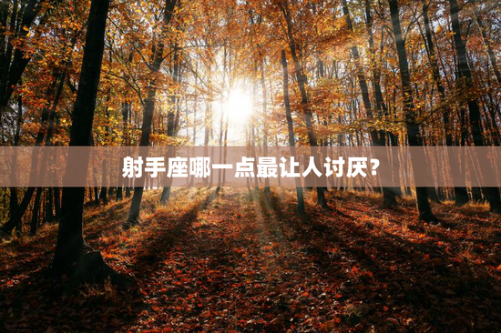 射手座哪一点最让人讨厌？