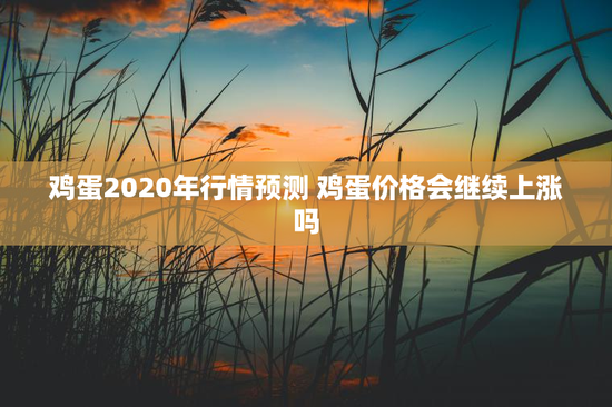 鸡蛋2020年行情预测 鸡蛋价格会继续上涨吗