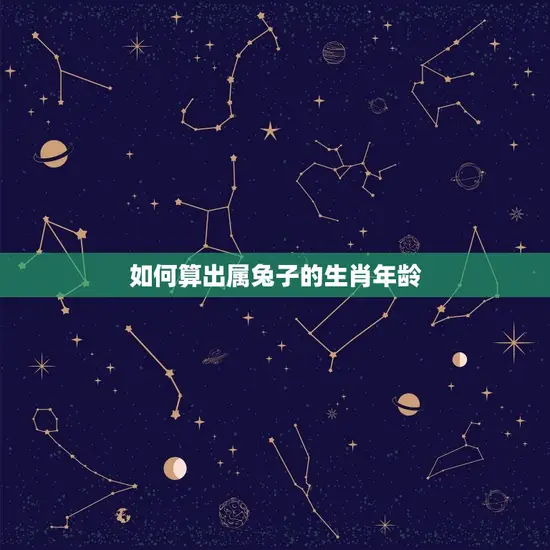 如何算出属兔子的生肖年龄