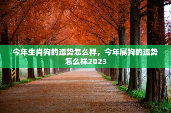 今年生肖狗的运势怎么样，今年属狗的运势怎么样2023