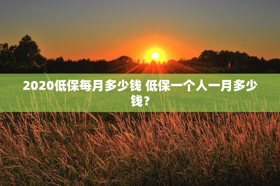 2020低保每月多少钱 低保一个人一月多少钱？