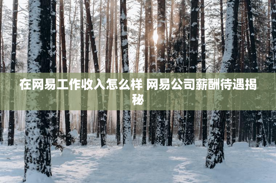 在网易工作收入怎么样 网易公司薪酬待遇揭秘