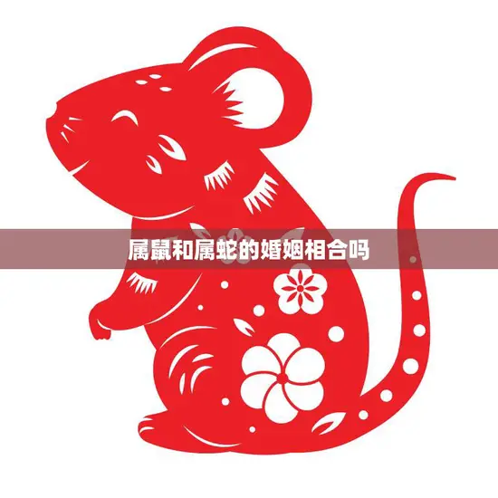属鼠和属蛇的婚姻相合吗(解析属鼠和属蛇的星座配对)