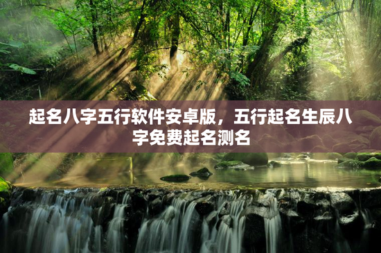 起名八字五行软件安卓版，五行起名生辰八字免费起名测名