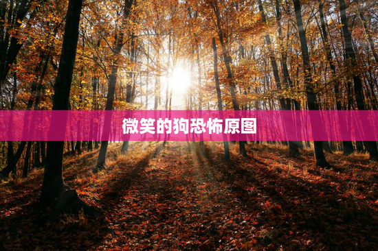 微笑的狗恐怖原图