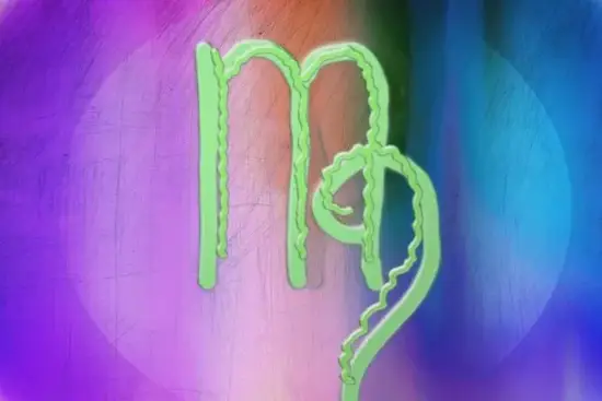 处女座2025事业转折点