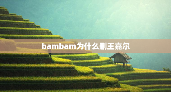 bambam为什么删王嘉尔