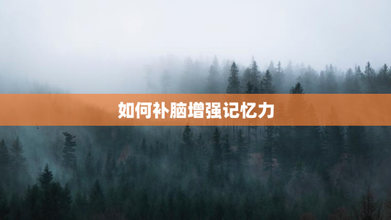 如何补脑增强记忆力