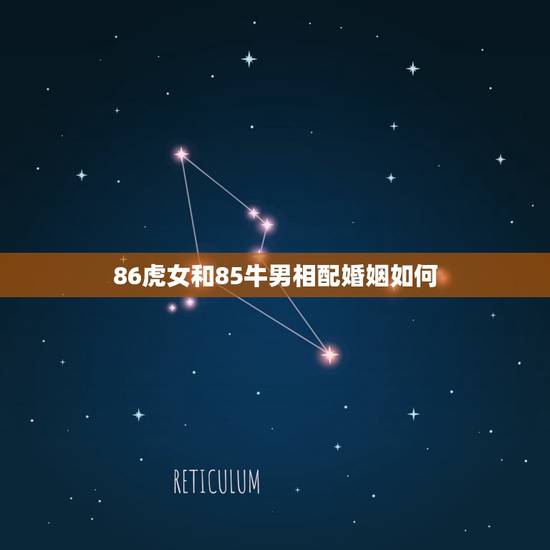 86虎女和85牛男相配婚姻如何(幸福美满还是风波不断)