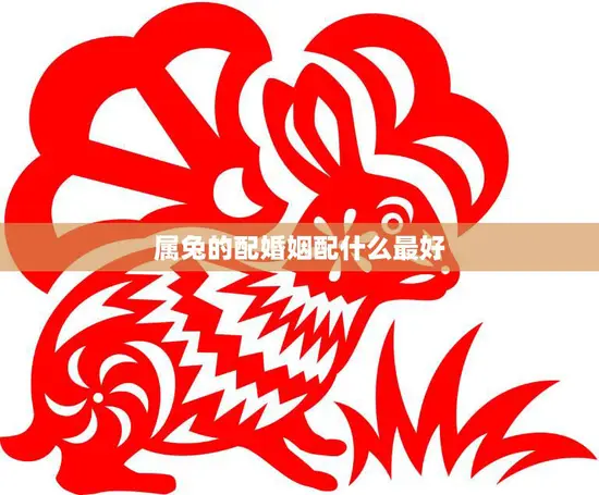 属兔的配婚姻配什么最好(如何选择最佳婚姻对象)