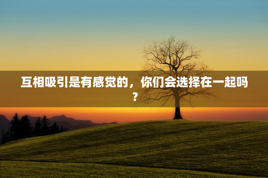 互相吸引是有感觉的，你们会选择在一起吗？