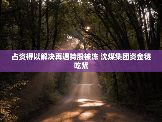 占资得以解决再遇持股被冻 沈煤集团资金链吃紧