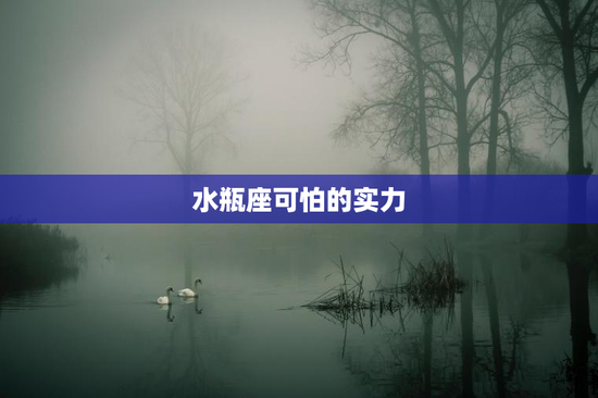 水瓶座可怕的实力