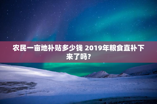 农民一亩地补贴多少钱 2019年粮食直补下来了吗？