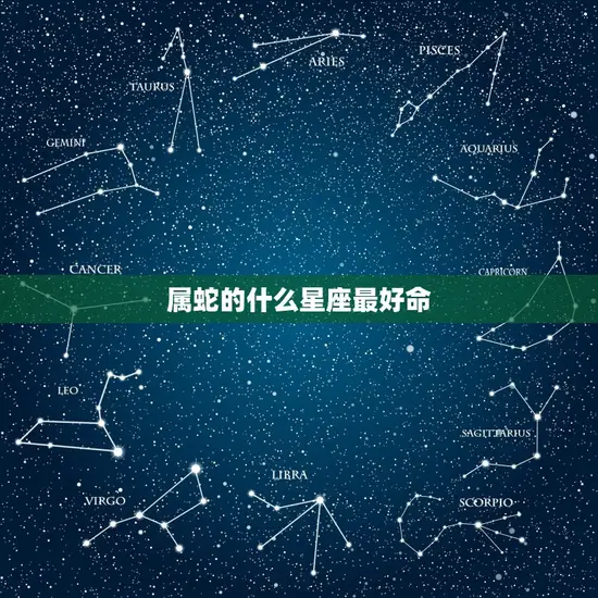 属蛇的什么星座最好命