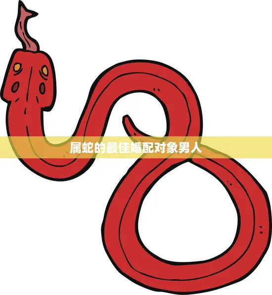 属蛇的最佳婚配对象男人(如何选择理想的伴侣)