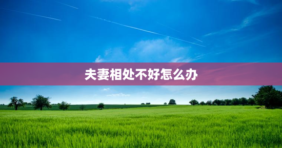 夫妻相处不好怎么办