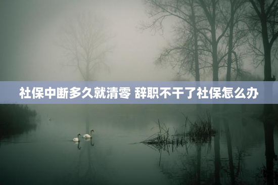 社保中断多久就清零 辞职不干了社保怎么办