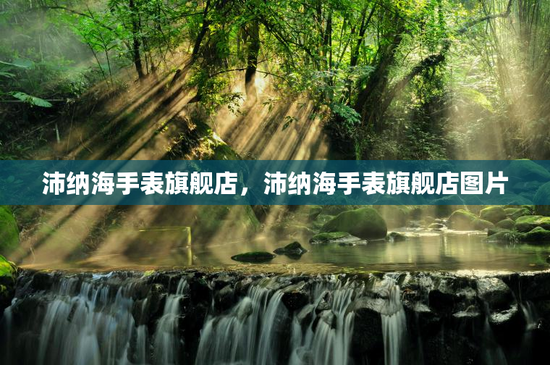 沛纳海手表旗舰店，沛纳海手表旗舰店图片