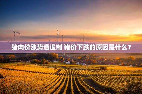 猪肉价涨势遭遏制 猪价下跌的原因是什么？