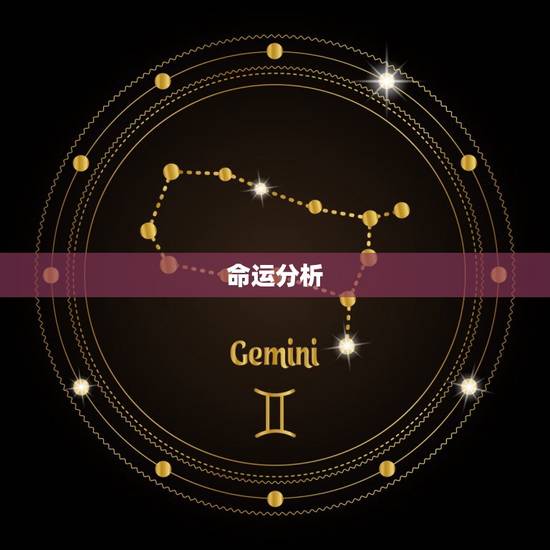 命运分析