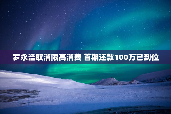 罗永浩取消限高消费 首期还款100万已到位