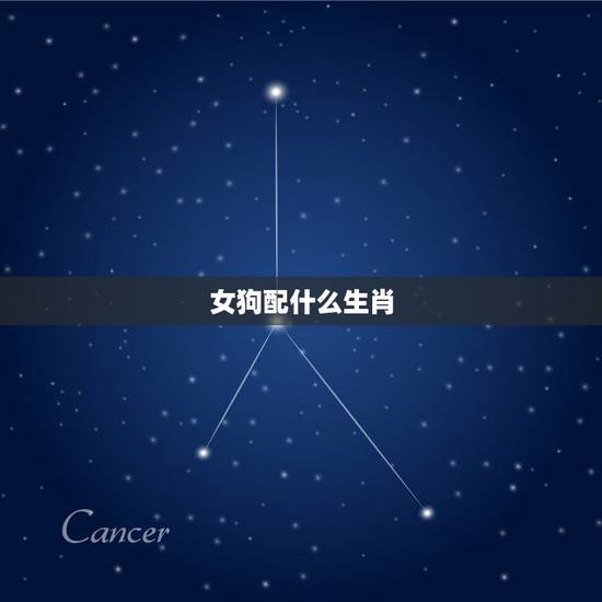女狗配什么生肖