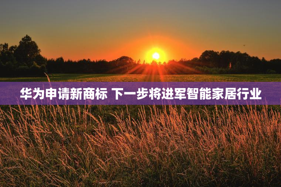 华为申请新商标 下一步将进军智能家居行业