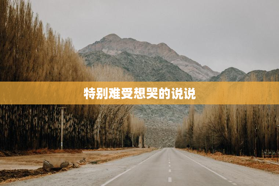 特别难受想哭的说说