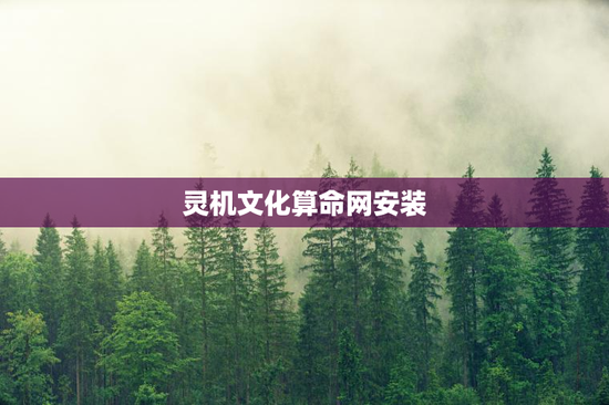 灵机文化算命网安装，灵机文化专业测算服务