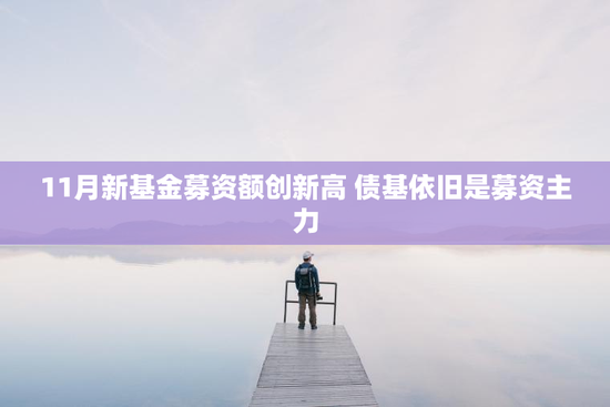 11月新基金募资额创新高 债基依旧是募资主力